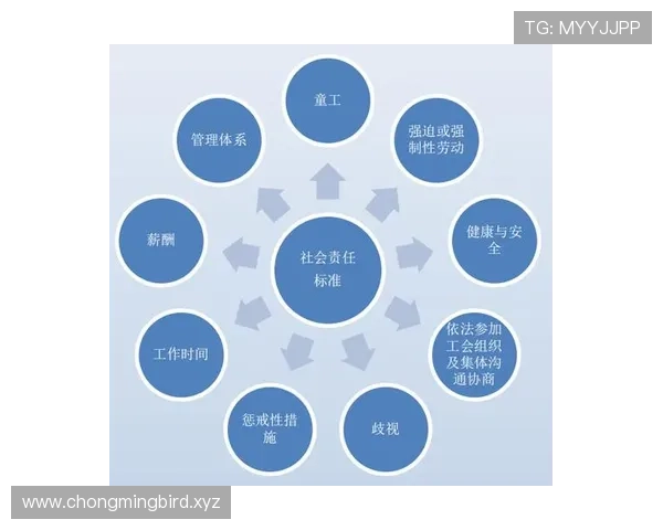 企业家社会责任视角下的可持续发展路径与实践探索 企业家社会责任视角下的可持续发展路径与实践探索