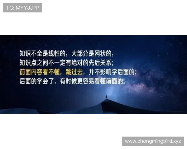 从企业家皮带看领导力风范与成功哲学的深度探秘启示与实践之旅中